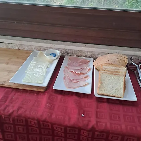 Nocleg ze śniadaniem Gatto 4*