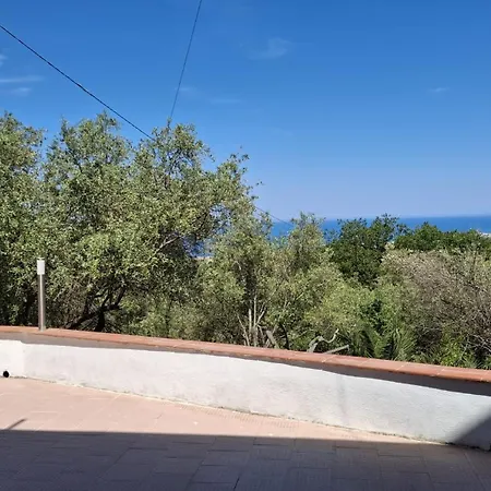 Gatto Rometta Marea