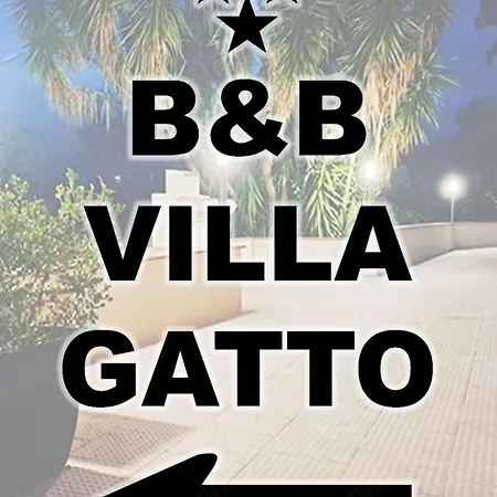 Gatto 4*