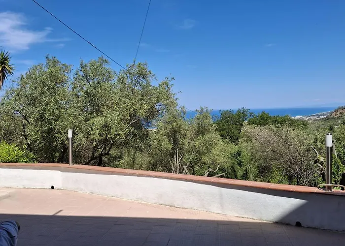 Gatto Rometta Marea